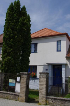 Гостиница Penzion U Thuje  Требон